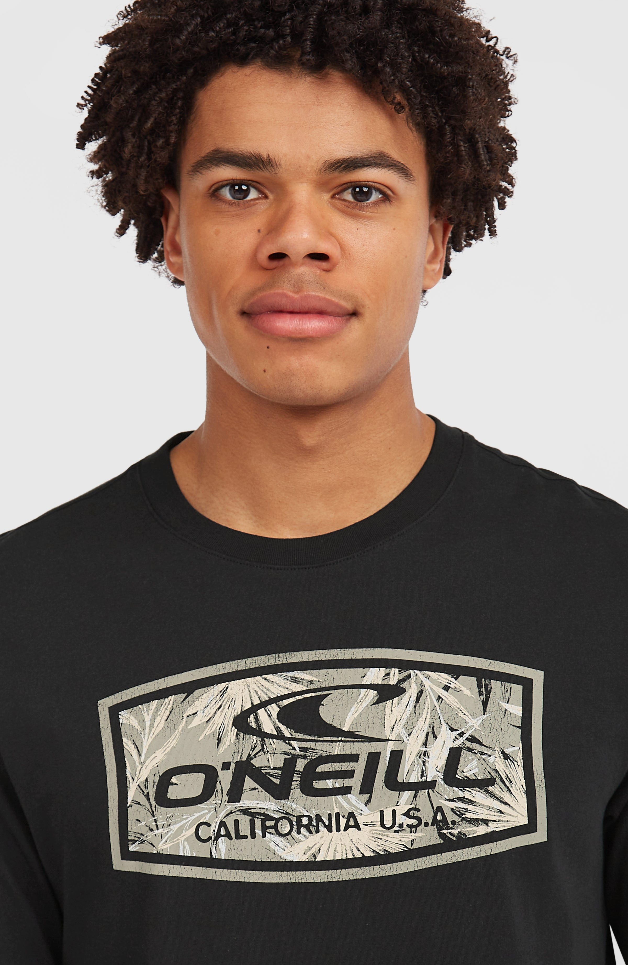 O'Neill T-shirt O'NEILL GRAPHIC T-SHIRT (1-delig)