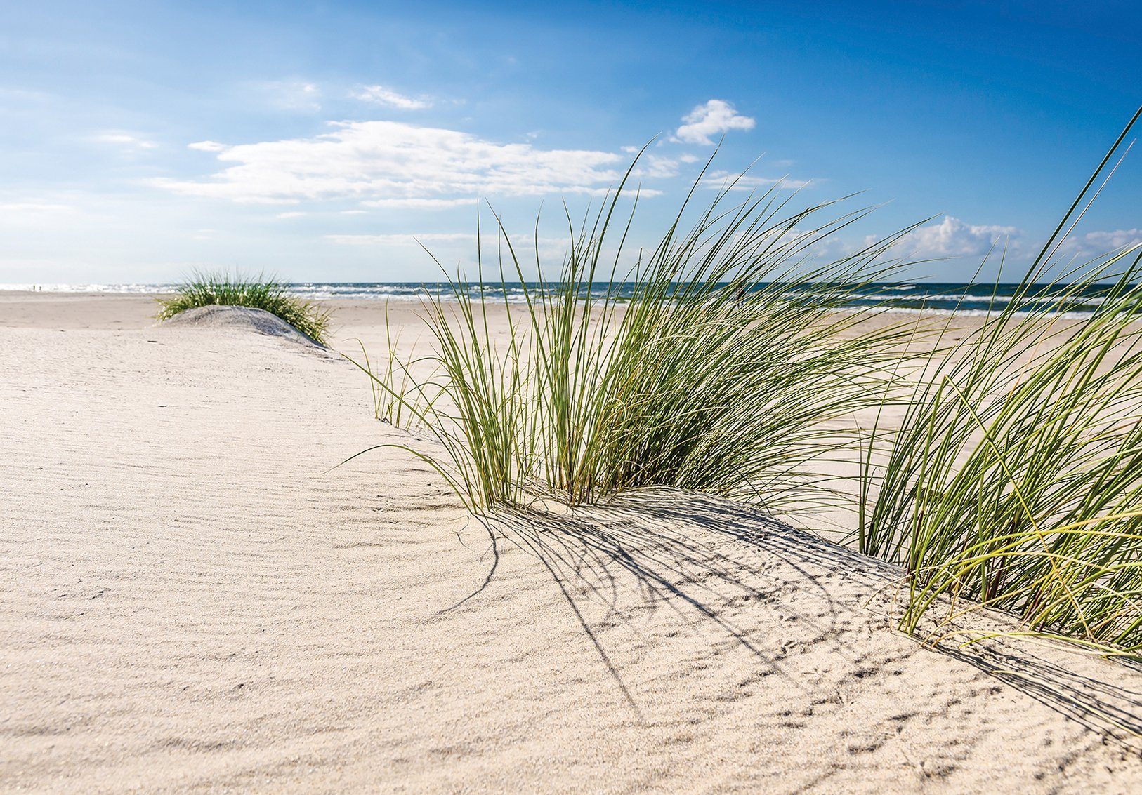 Consalnet Papierbehang Strand in verschillende maten