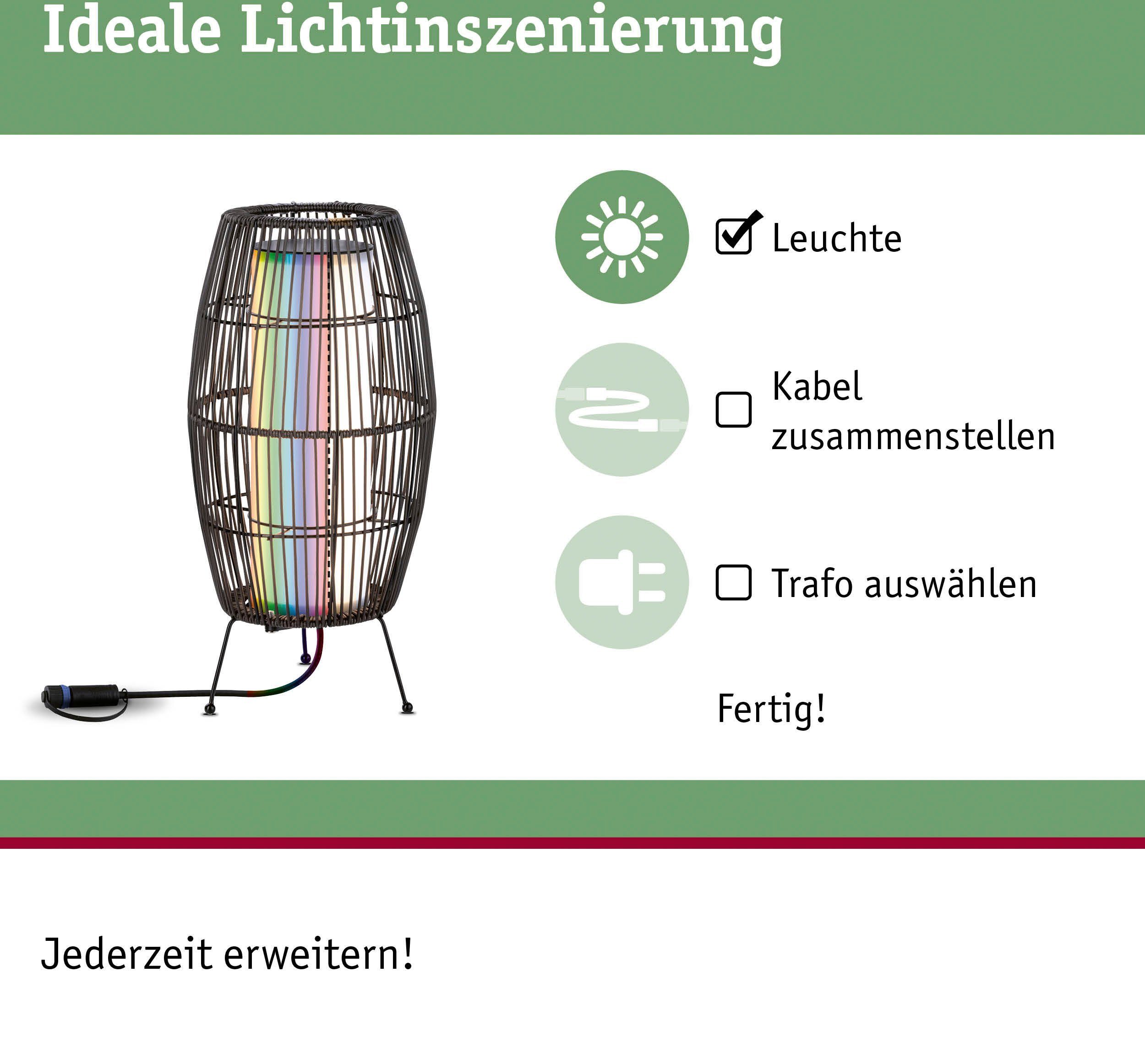 Paulmann Led-tuinverlichting Buiten Plug & Shine Basket 40 RGBW ZigBee IP44 (1 stuk)