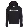 champion hoodie zwart