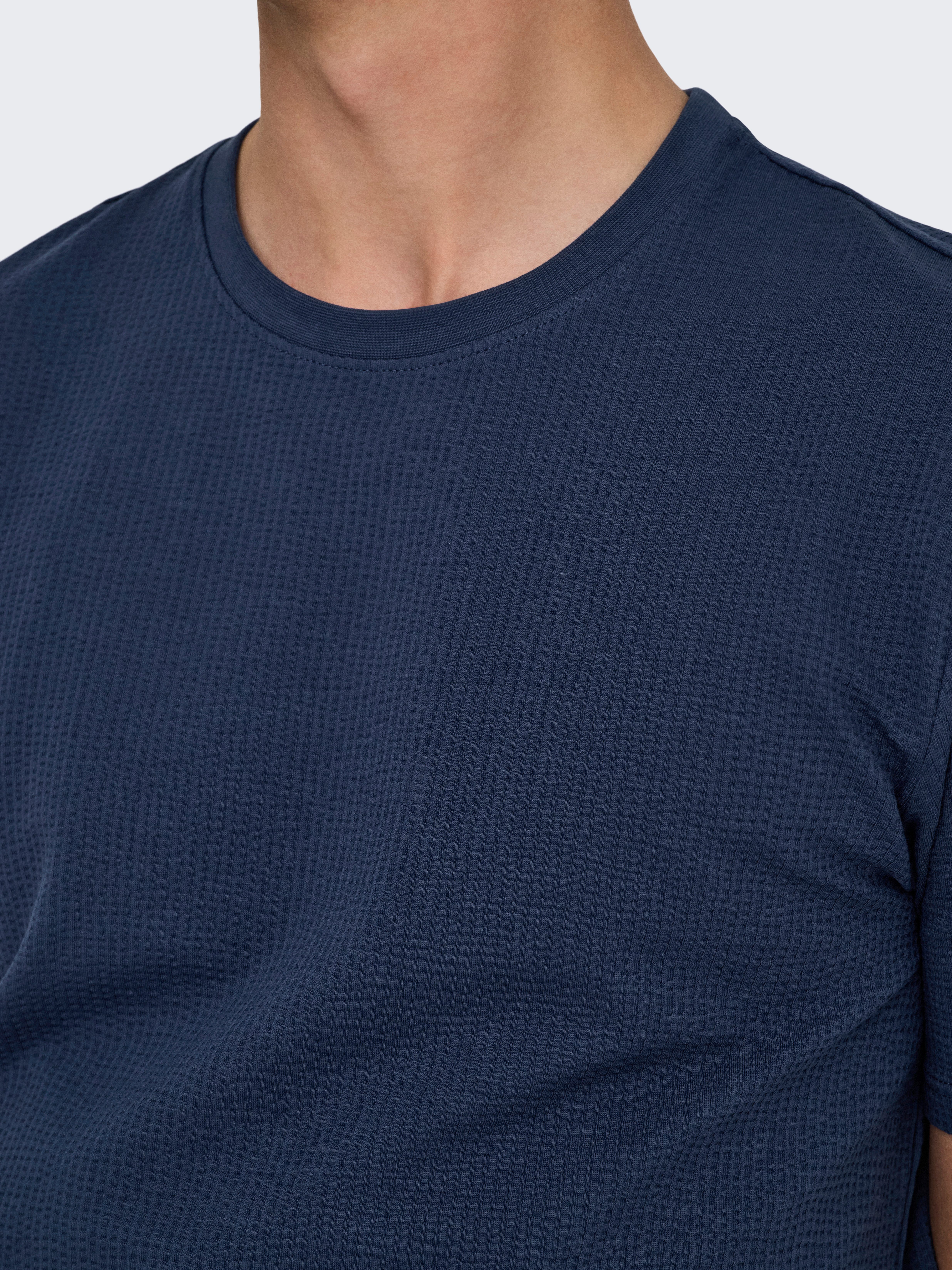 ONLY & SONS Shirt met ronde hals ONSKIAN LIFE REG SEERSUCKER SS TEE NOOS