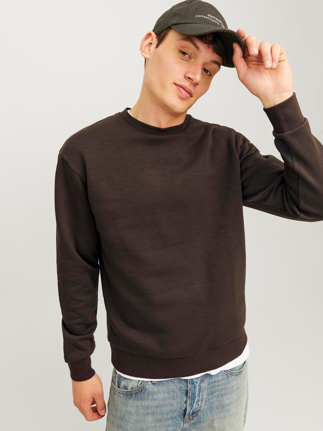 Jack & Jones Sweatshirt JJEBRADLEY SWEAT CREW NOOS