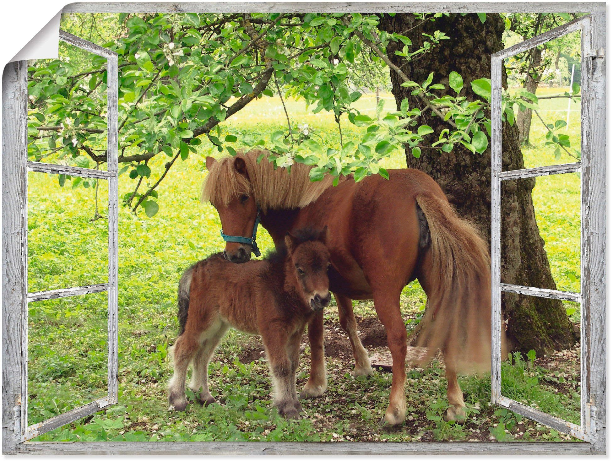 Artland artprint Fensterblick Pony mit Kind