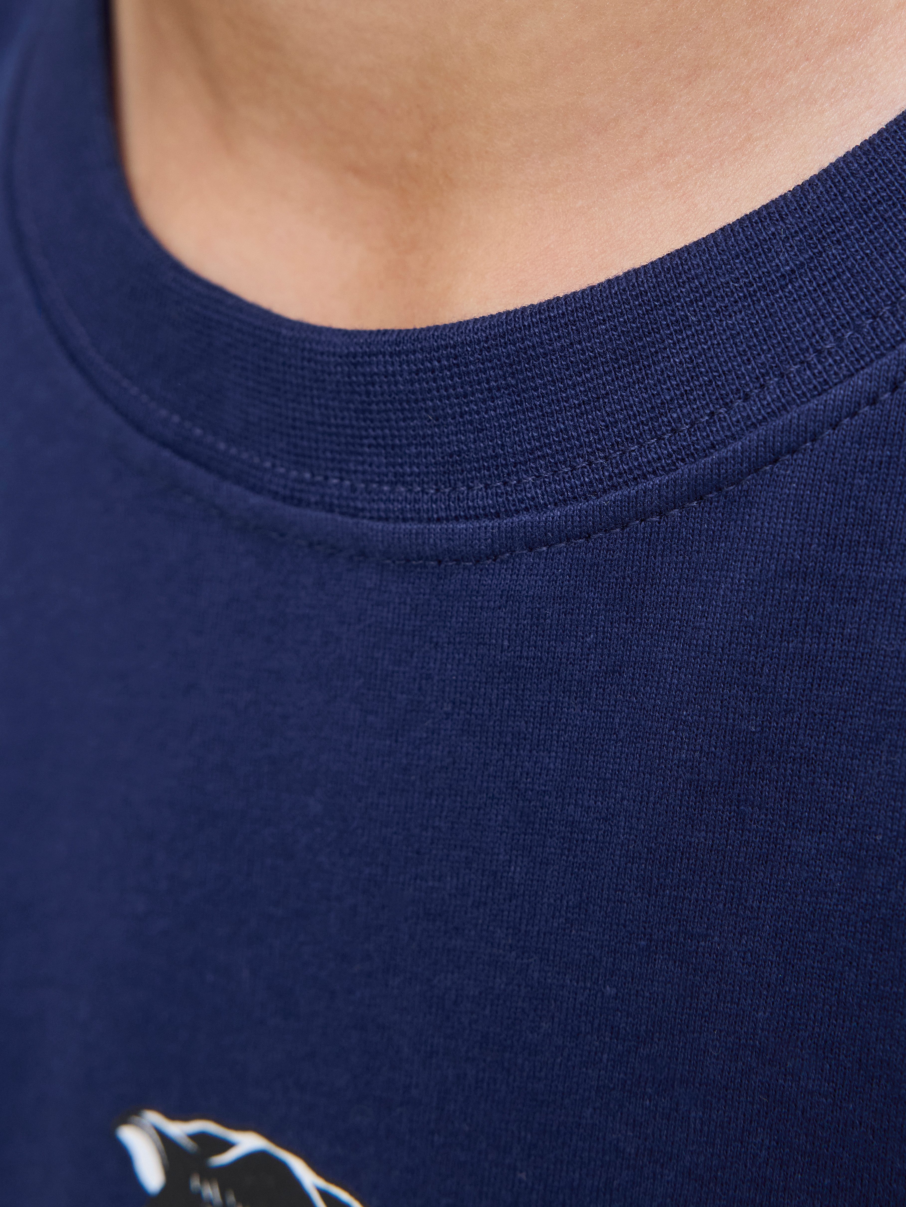 Jack & Jones Junior T-shirt JORSKULL NATURE TEE SS CREW NECK SN JNR
