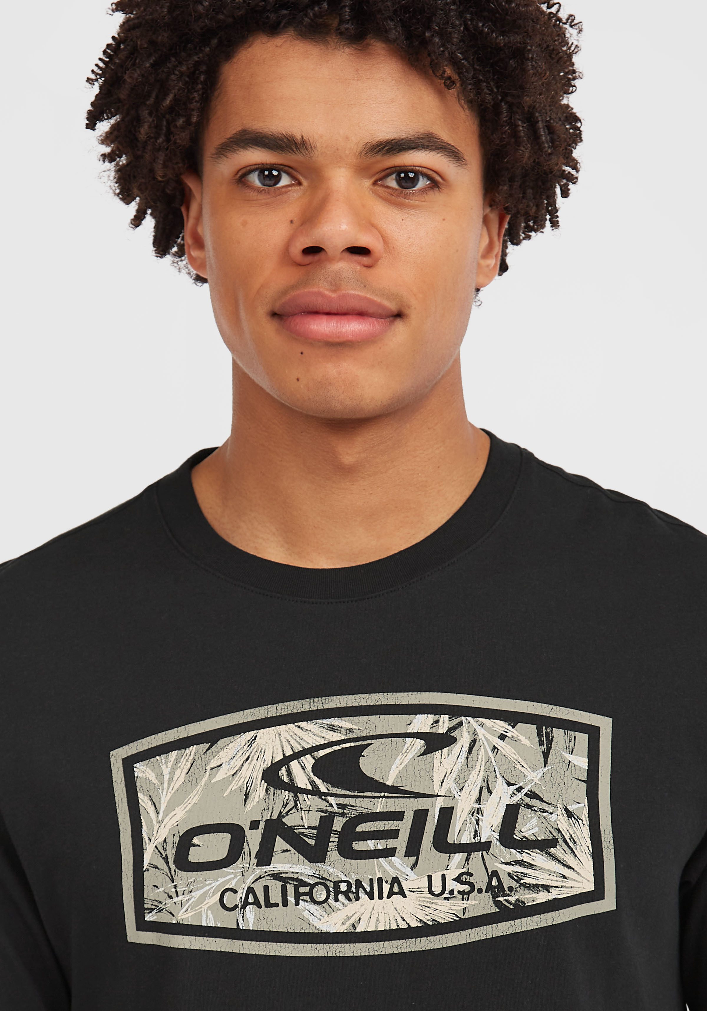 O'Neill T-shirt O'NEILL GRAPHIC T-SHIRT (1-delig)