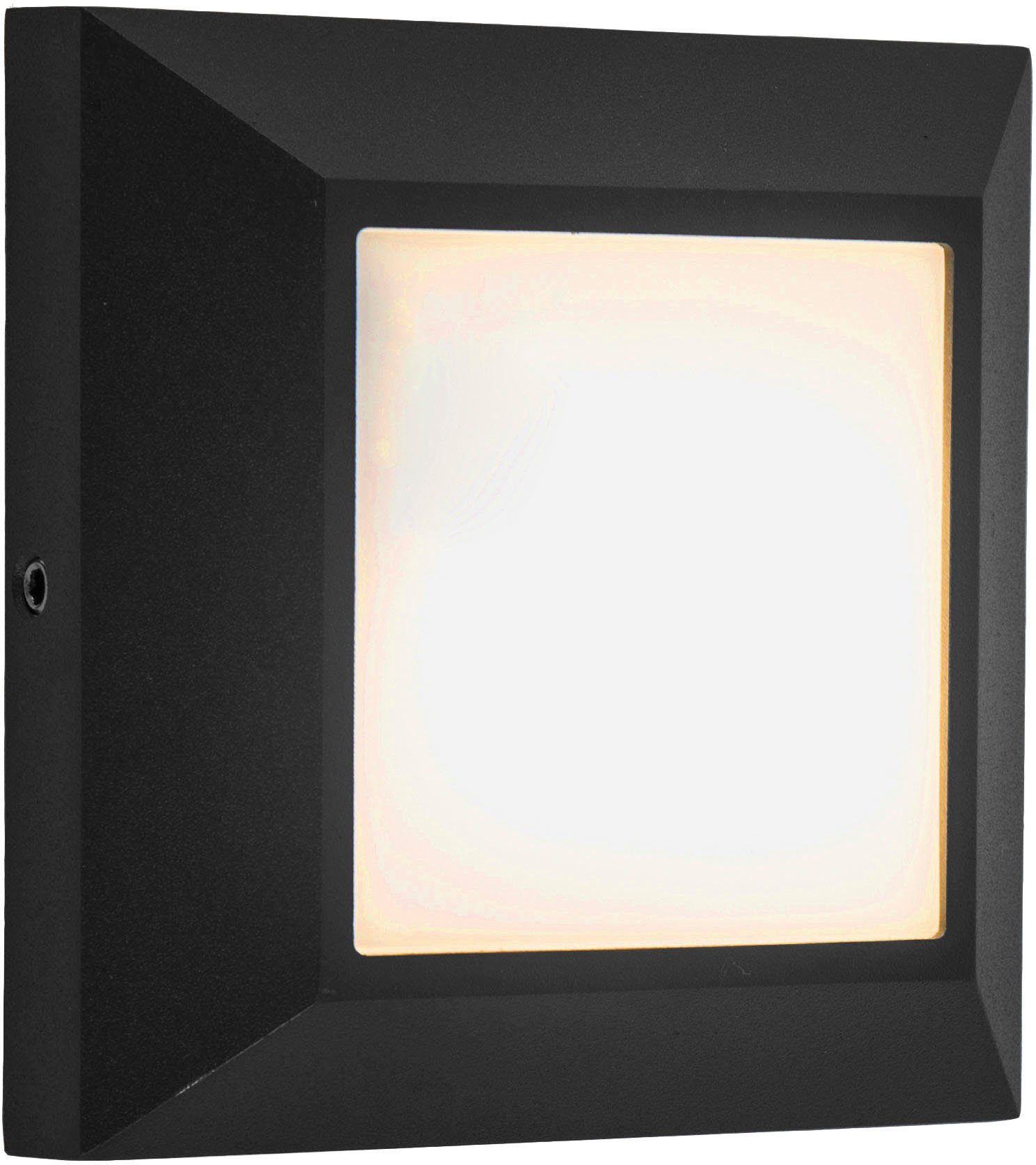 LUTEC Ledwandlamp voor buiten Helene (1 stuk) tuinlampen zwart