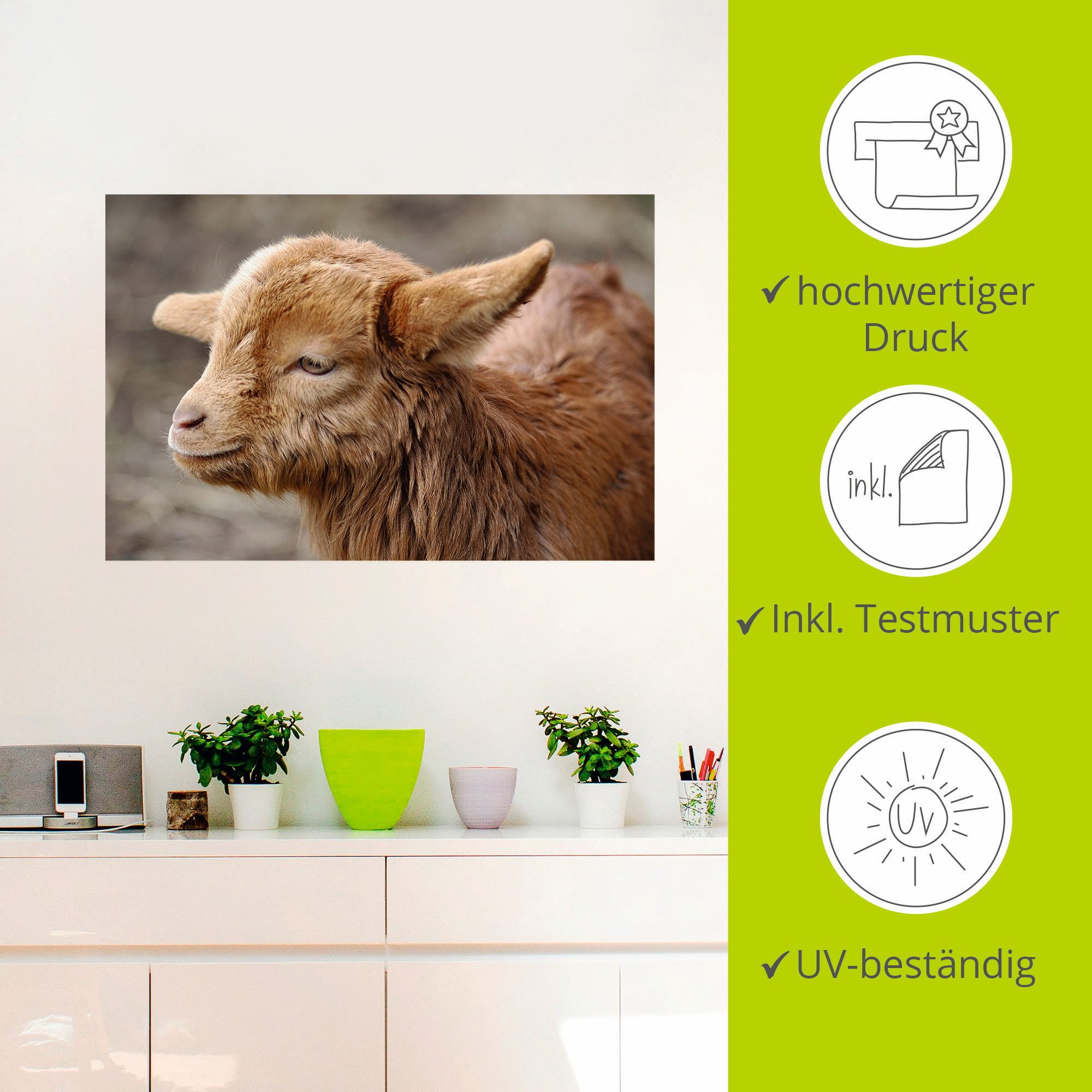 Artland Wandfolie Kleine geit