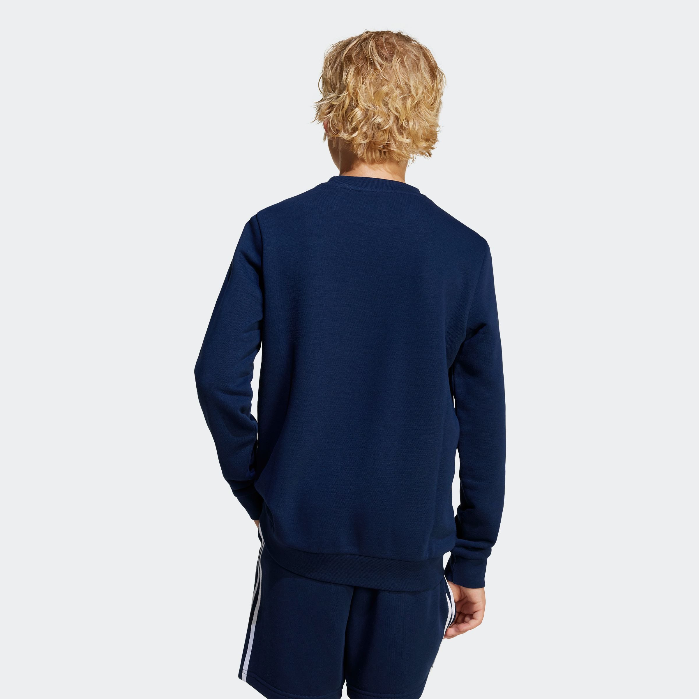 adidas Originals Sweatshirt TREFOIL CREW
