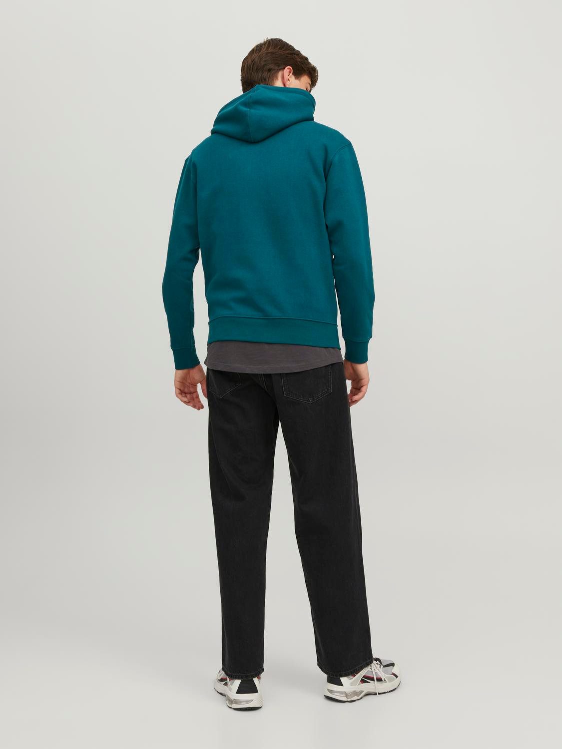 Jack & Jones Hoodie JJESTAR JJ SWEAT HOOD NOOS