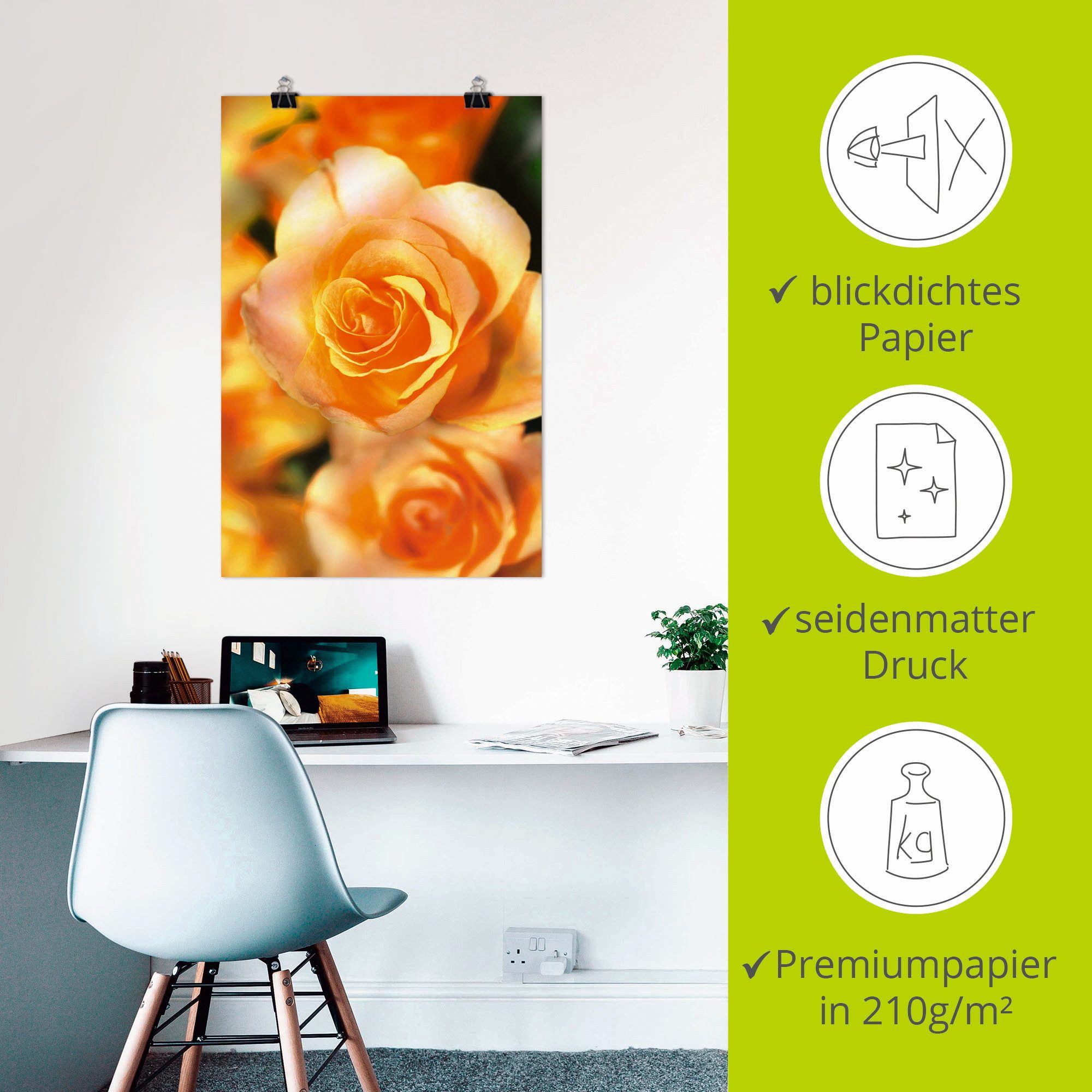 Artland Poster Stralende zomerrozen als artprint van aluminium, artprint op linnen, muursticker of poster in verschillende maten
