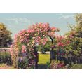 komar fotobehang roos garden zeer lichtbestendig (set) multicolor