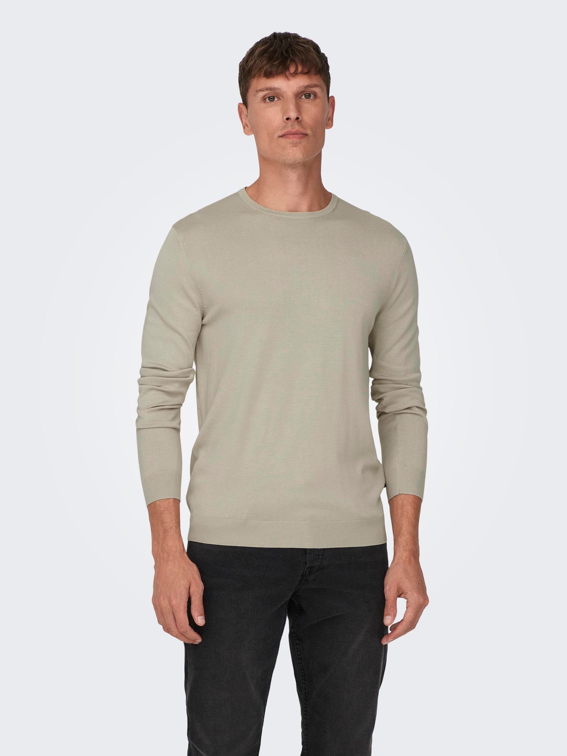 ONLY & SONS Trui met ronde hals ONSWYLER LIFE REG 14 LS CREW KNIT NOOS heren pullovers maat S grijs
