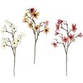 i.ge.a. kunstbloem magnoliatak set van 3 (3 stuks) roze