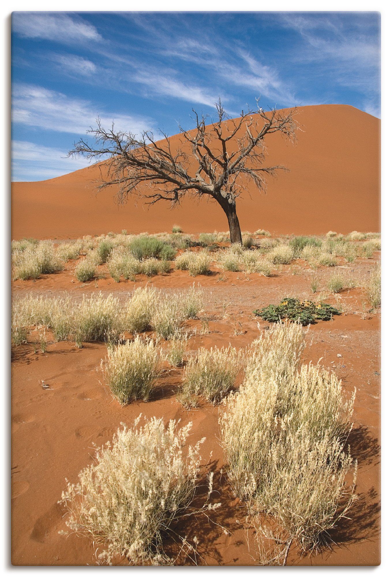 Artland Artprint Namib-woestijn 2 in vele afmetingen & productsoorten - artprint van aluminium / artprint voor buiten, artprint op linnen, poster, muursticker / wandfolie ook gesch