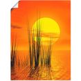 artland artprint zonsondergang met riet in vele afmetingen  productsoorten -artprint op linnen, poster, muursticker - wandfolie ook geschikt voor de badkamer (1 stuk) oranje