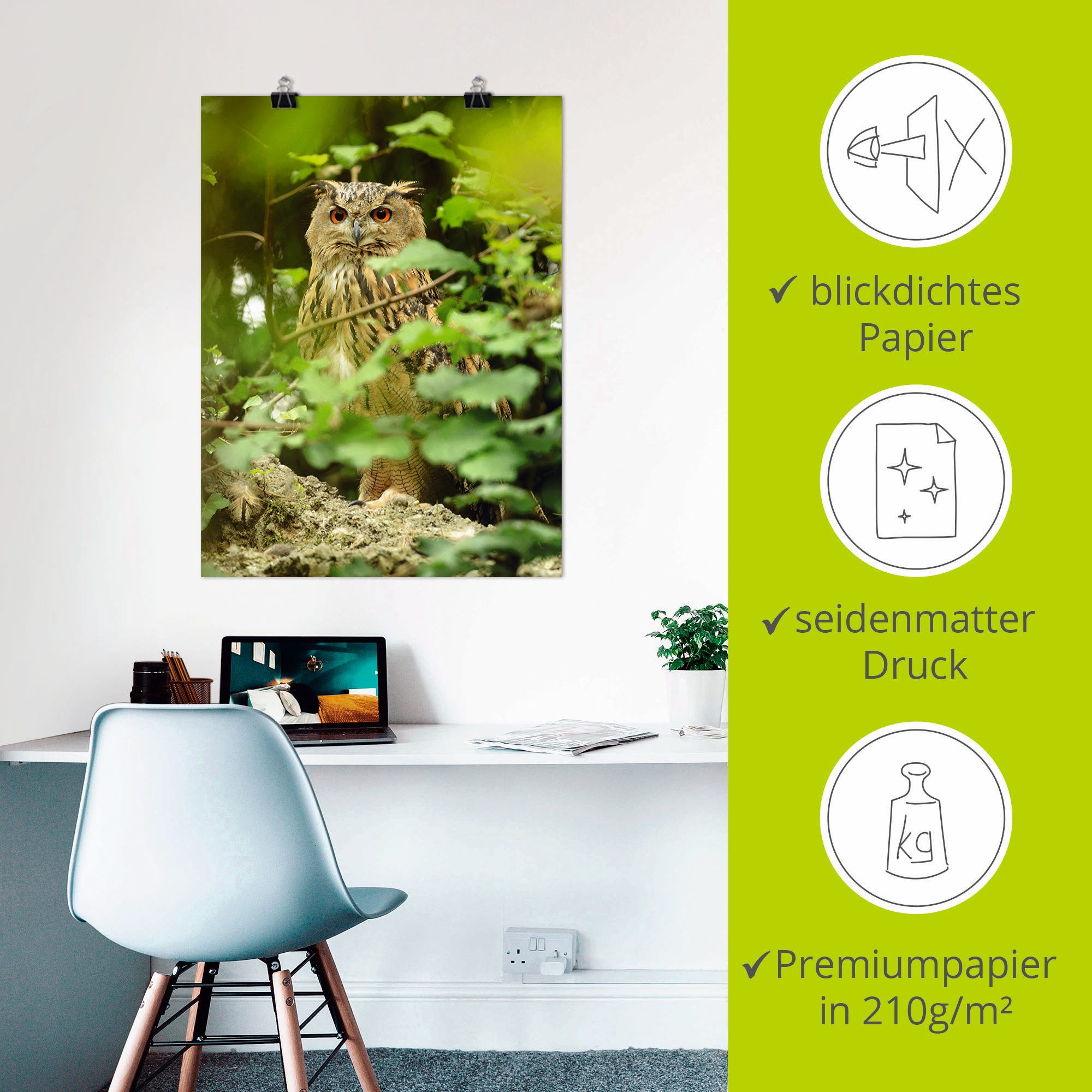Artland Artprint Vogel oehoe als artprint op linnen, poster in verschillende formaten maten