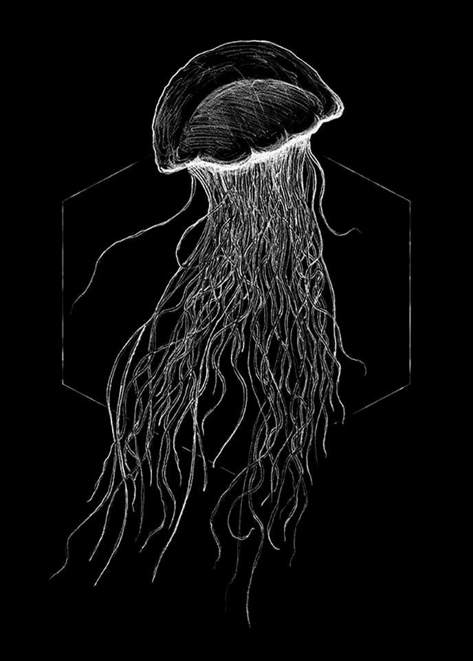 Komar Wanddecoratie Jellyfish black Wanddecoratie - zonder lijst (1 stuk)