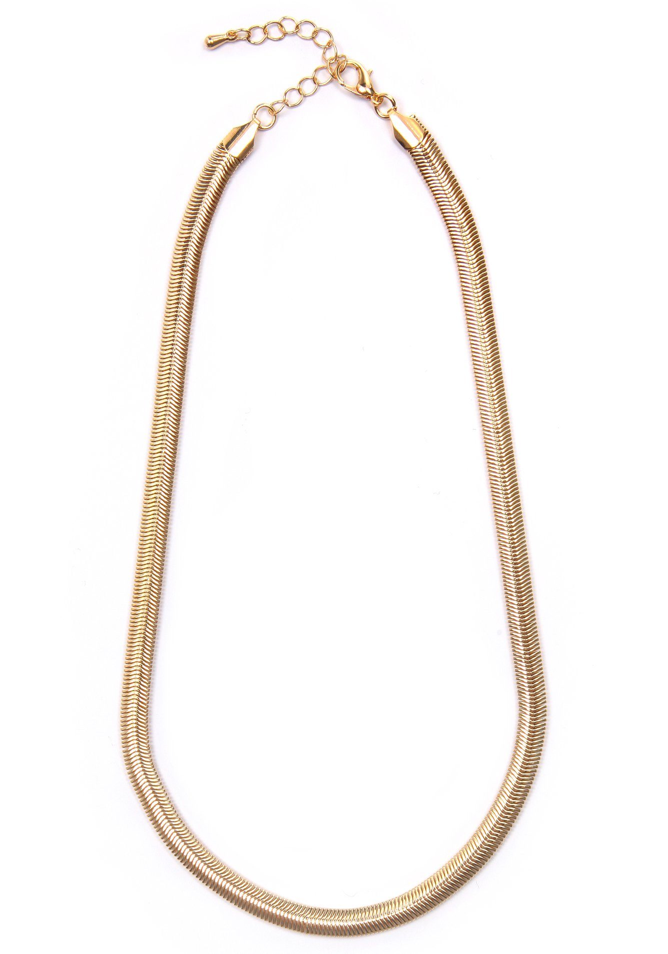 Firetti Collier Halsketting visgraat schakels