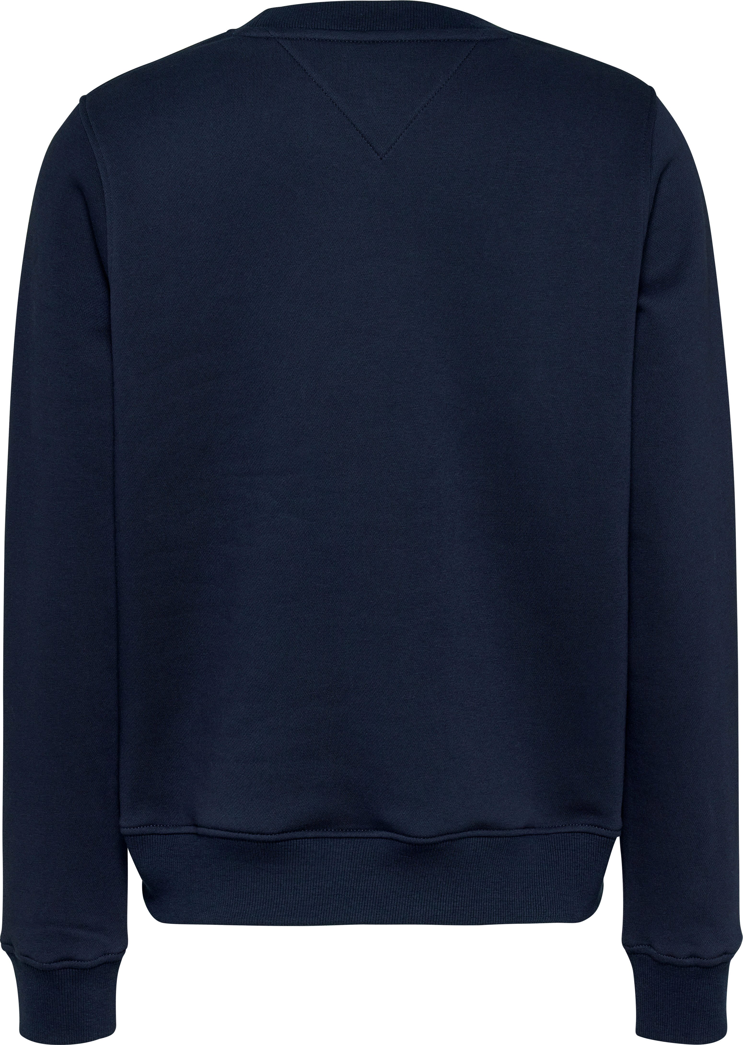 Tommy Jeans Curve Sweatshirt TJW REG LINEAR CREW EXT in grote maten met logo-opschrift