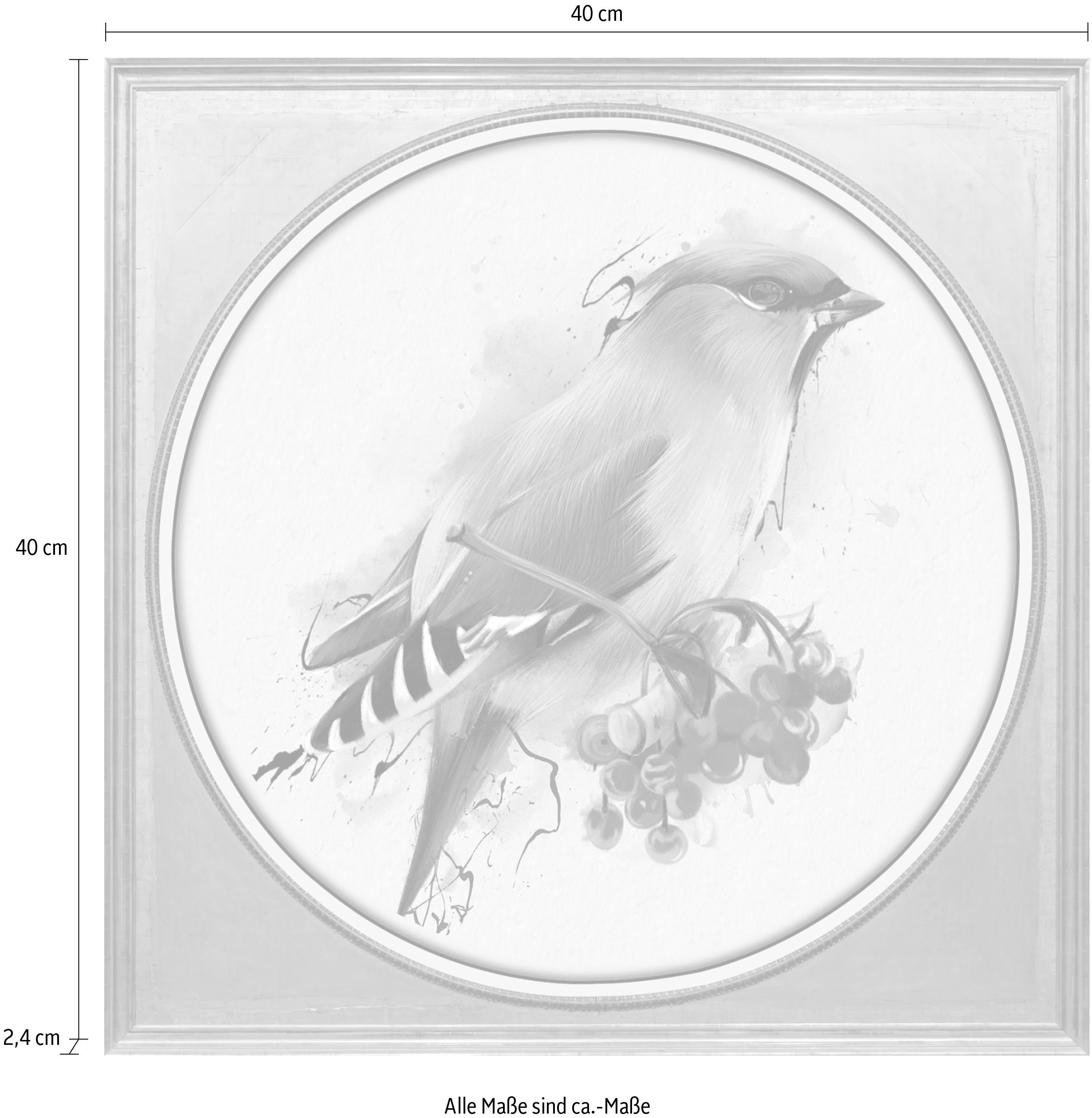 queence Artprint op acrylglas Vogel Fine Art-print in galeriekwaliteit
