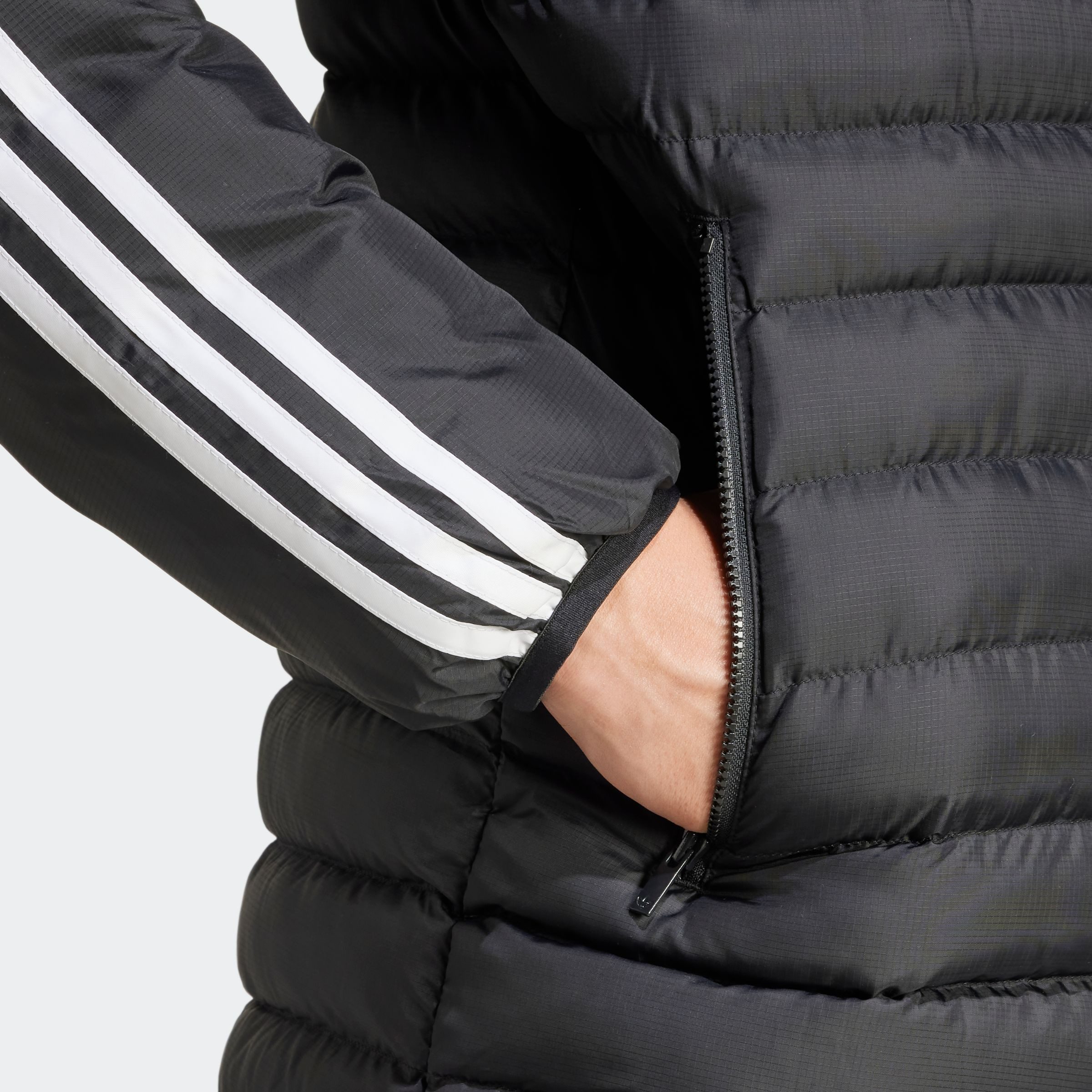 adidas Originals Gewatteerde jas PAD HOODED JKT