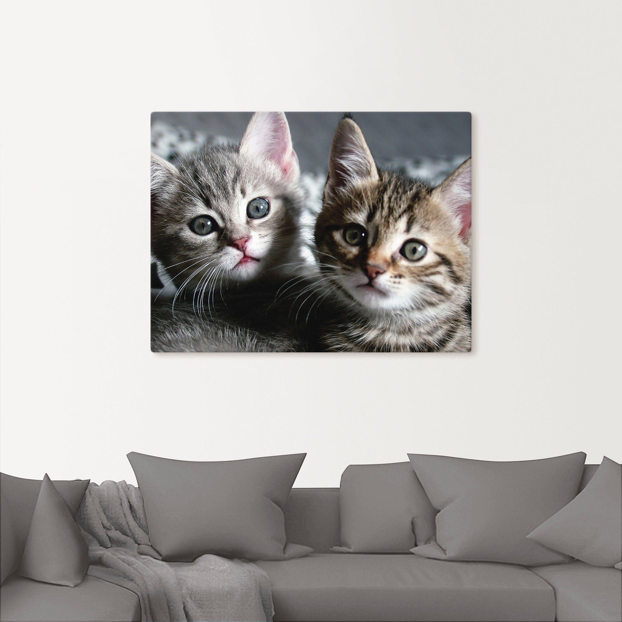 Artland Artprint Kat als artprint van aluminium, artprint voor buiten, artprint op linnen, poster, muursticker