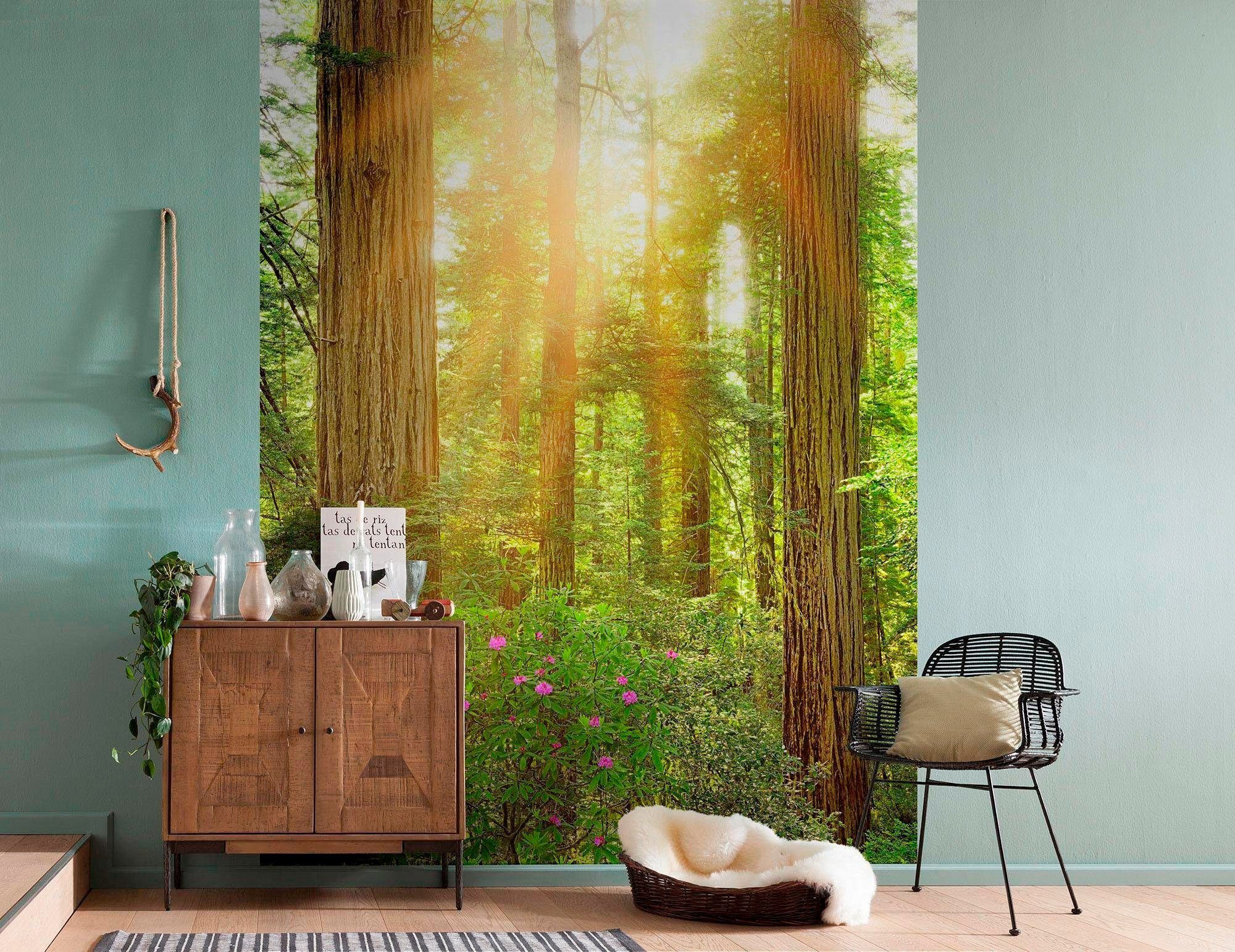 Komar Vliesbehang 200x250 cm (breedte x hoogte), vliesbehang, 100 cm baanbreedte (1 stuk)
