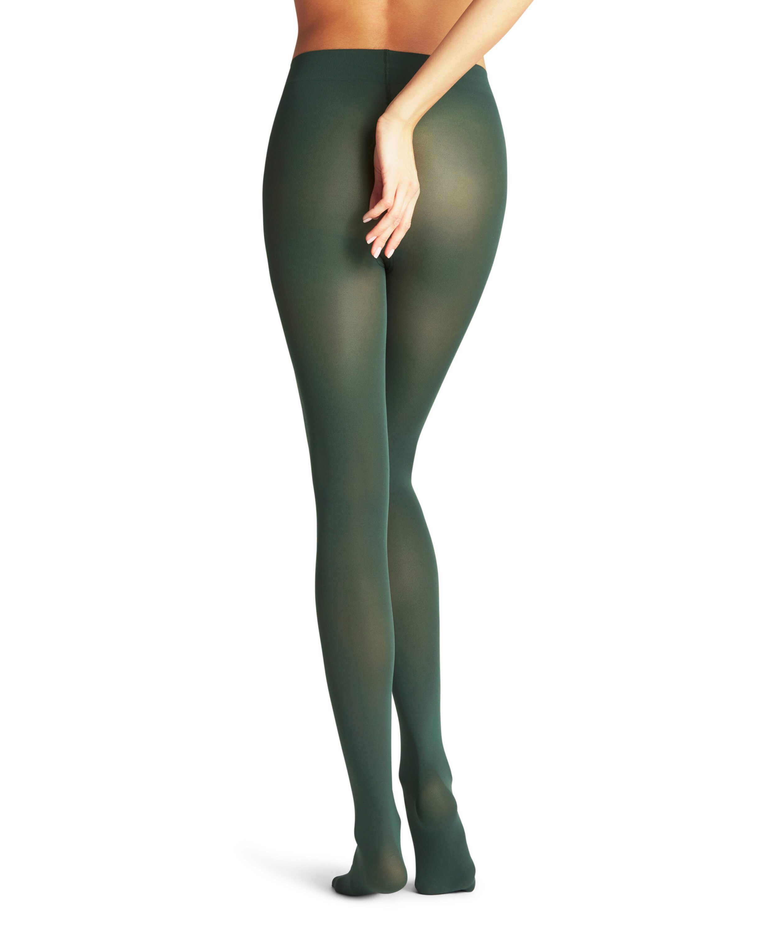 FALKE Panty Pure Matt