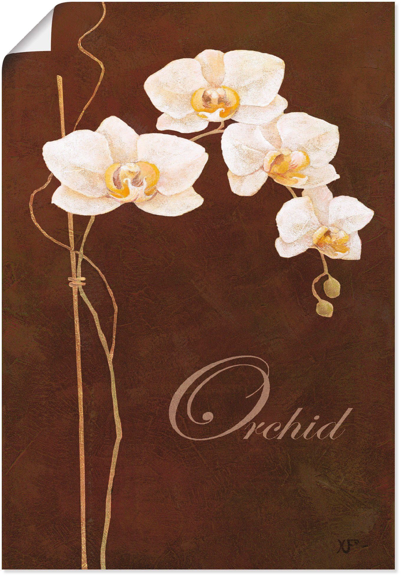 Artland Artprint Fijne orchidee in vele afmetingen & productsoorten - artprint van aluminium / artprint voor buiten, artprint op linnen, poster, muursticker / wandfolie ook geschik