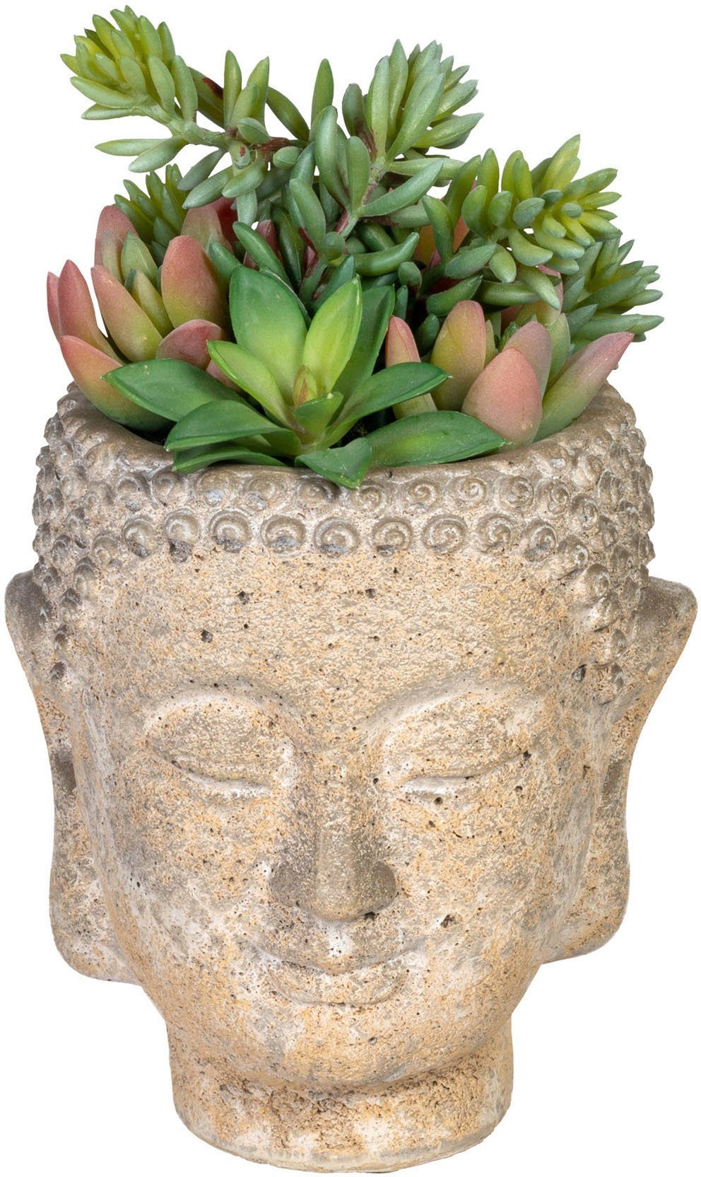 Creativ green Kunst-potplanten Vetplanten-arrangement in pot van cement