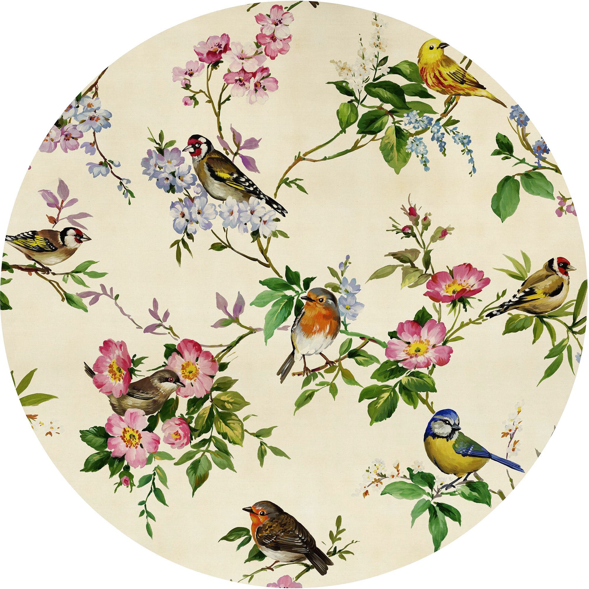 komar fotobehang bird party 125 x 125 cm (breedte x hoogte), rond en zelfklevend (1 stuk) multicolor