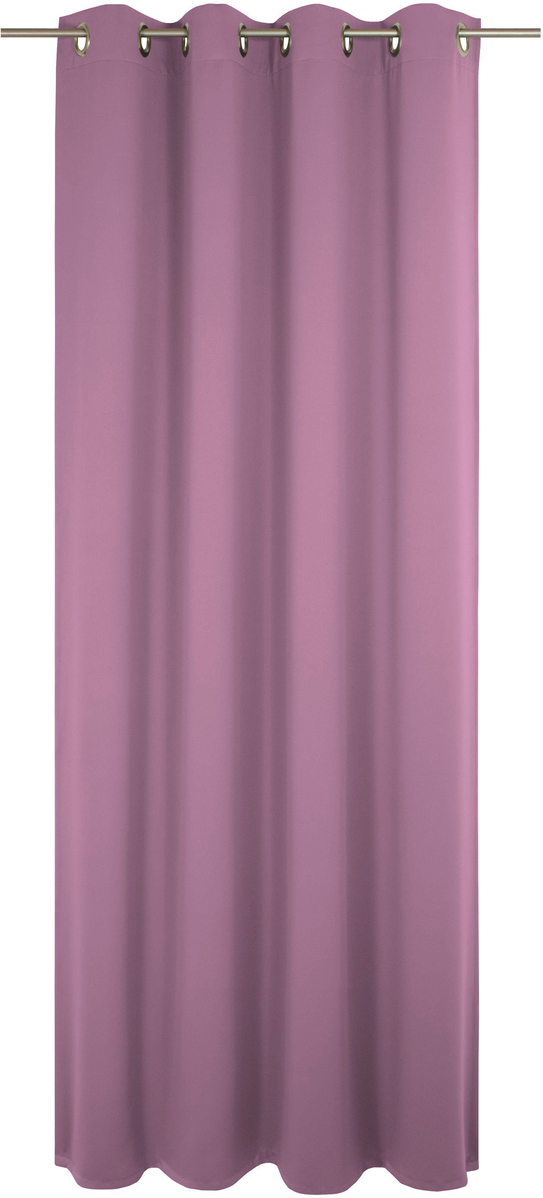 Wirth Gordijn Newbury (1 stuk) kant & klaar gordijnen maat 130 cm x 315 cm paars