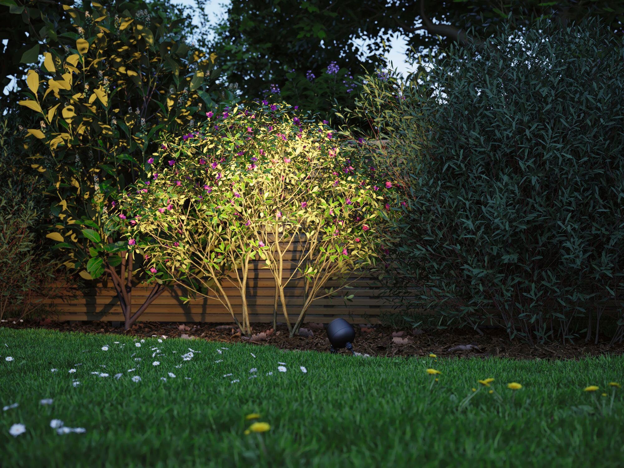 Paulmann Led-tuinverlichting Kikolo Outdoor 230V spot Kikolo 60° 3000K antraciet (1 stuk)
