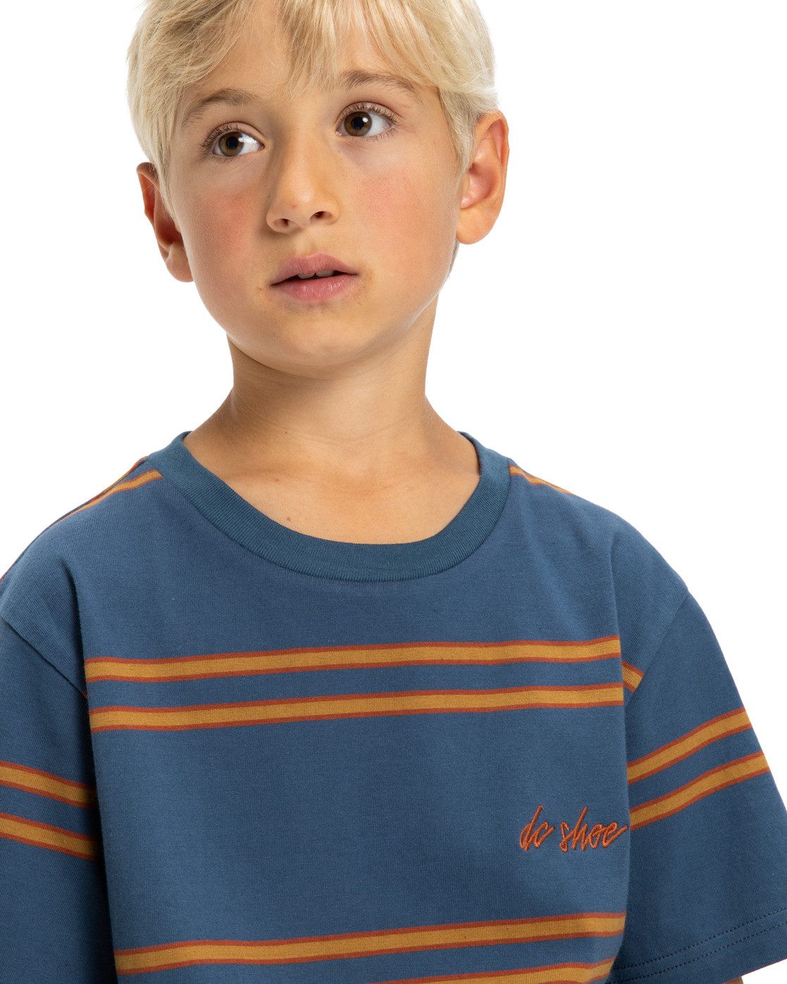 DC Shoes T-shirt Maximize Stripe