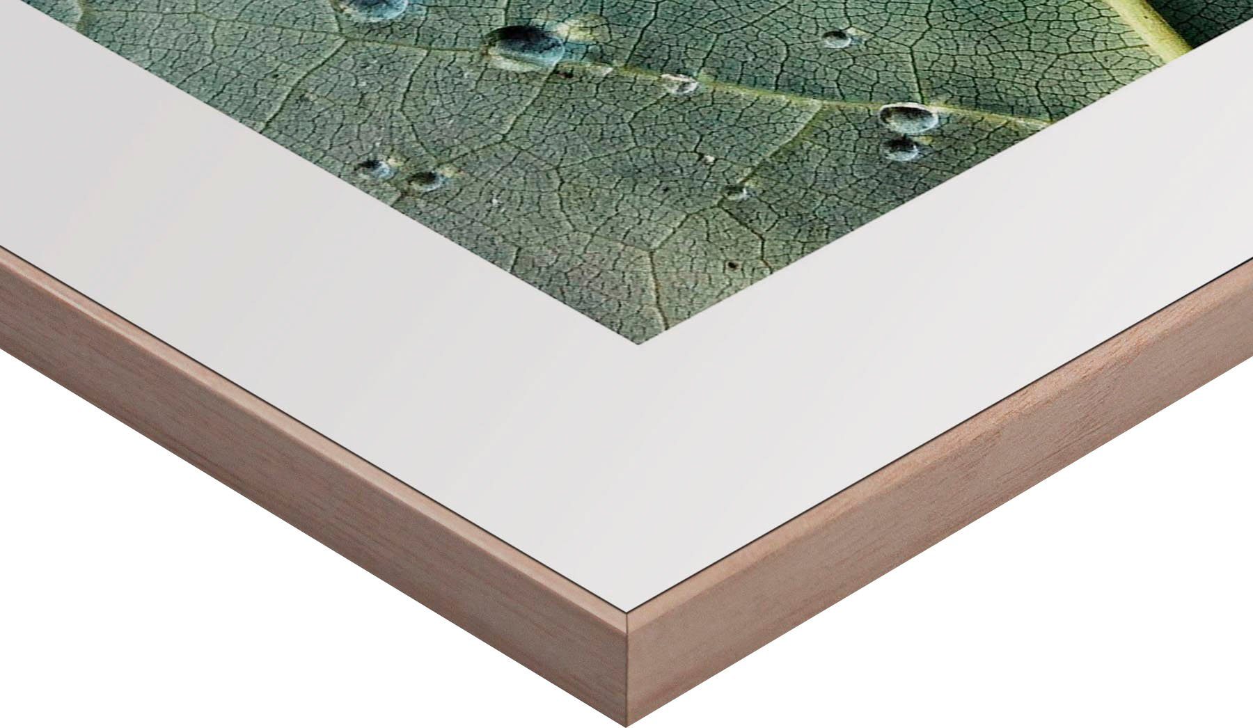 Reinders! Artprint Slim Frame Wood 50x50 Dew Drops