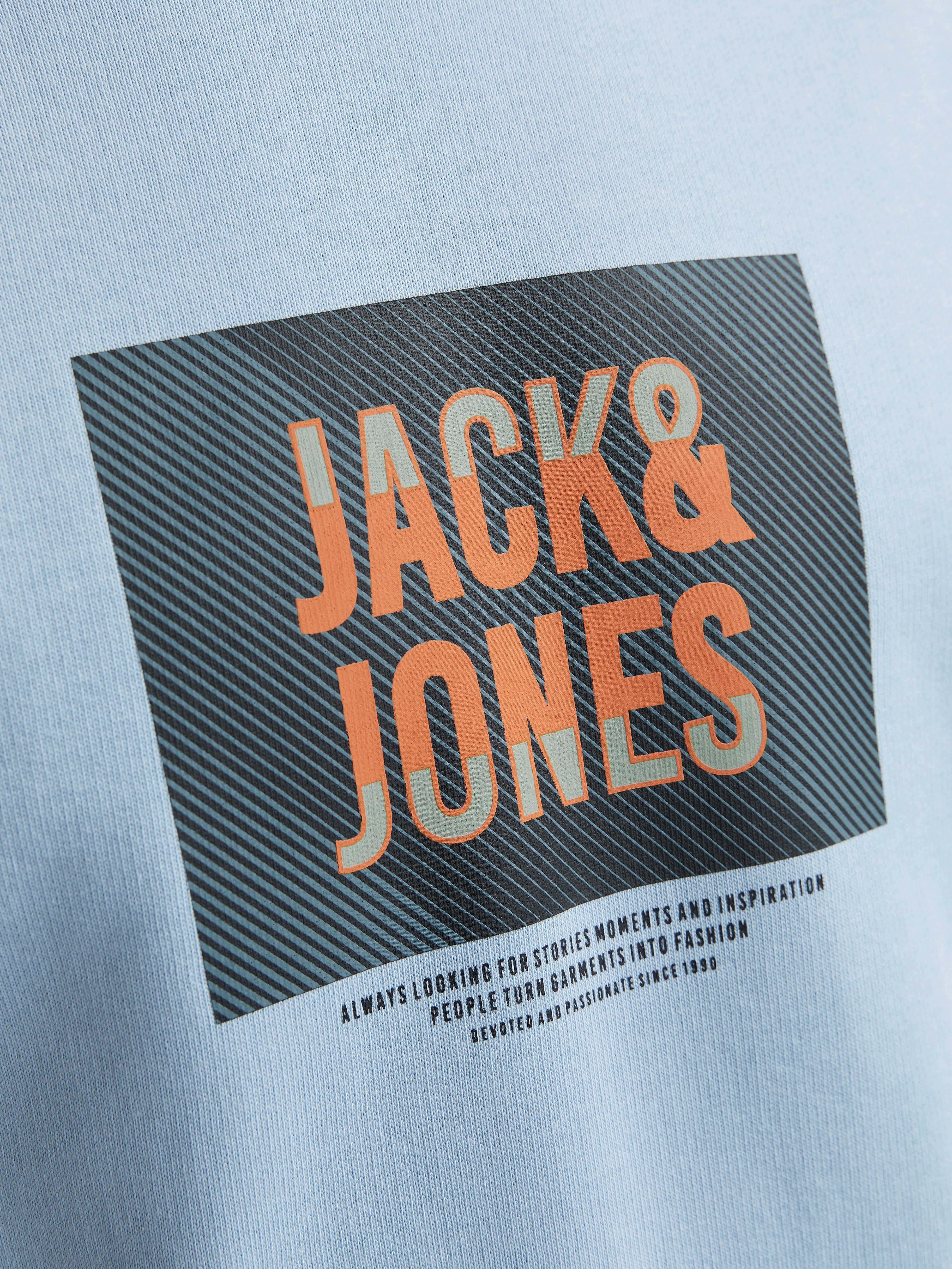 Jack & Jones Sweatshirt JJHUDSON SWEAT CREW NECK