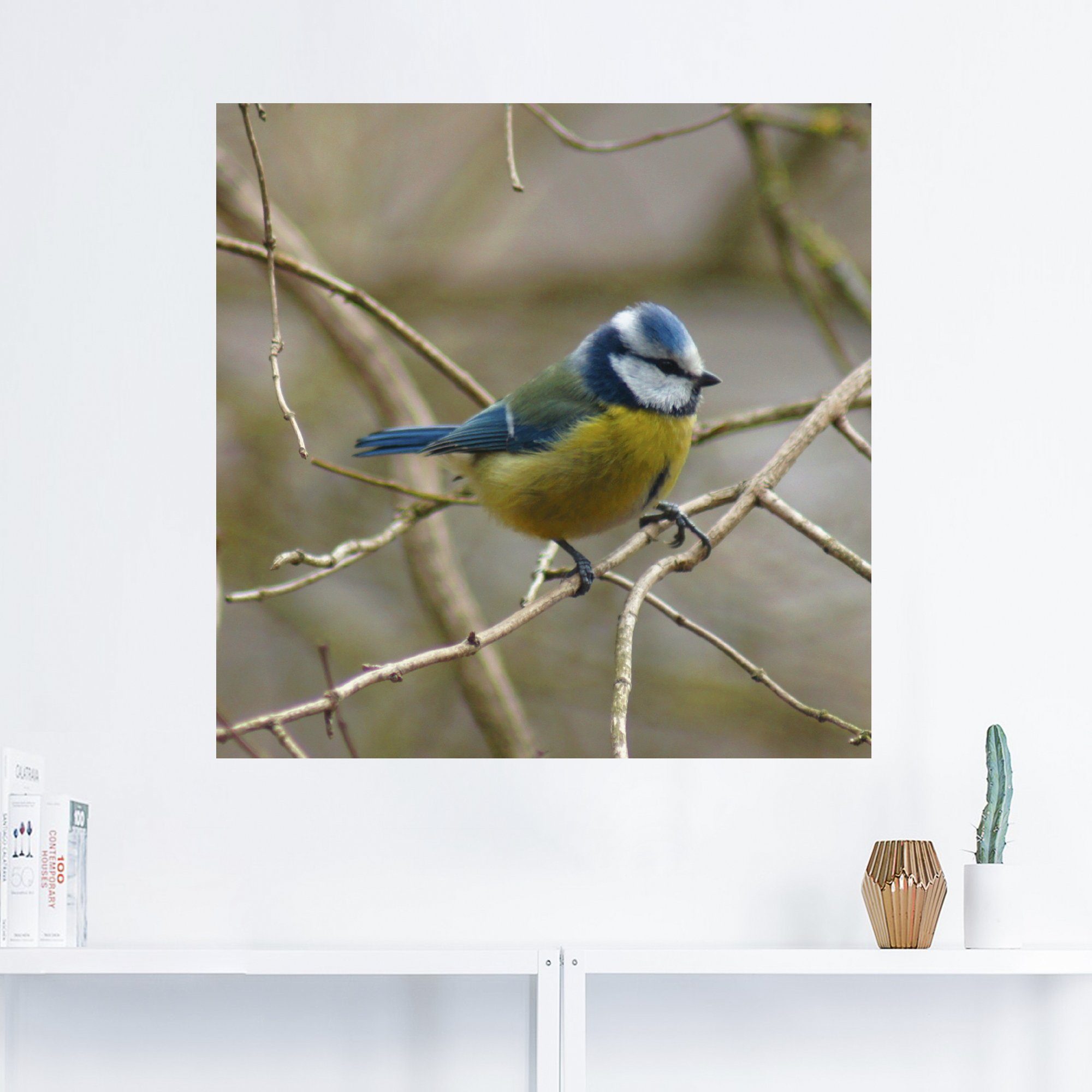 Artland Artprint Pimpelmees als artprint op linnen, muursticker in verschillende maten