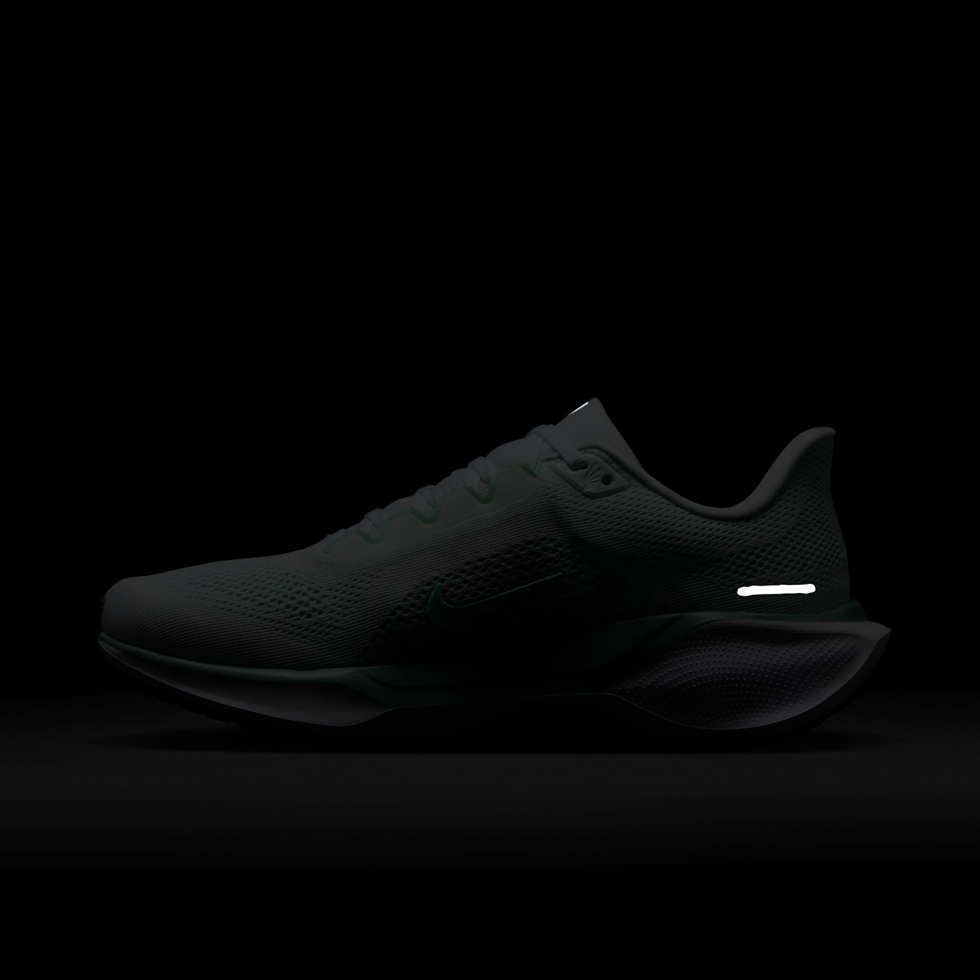 Nike Runningschoenen W AIR ZOOM PEGASUS 41
