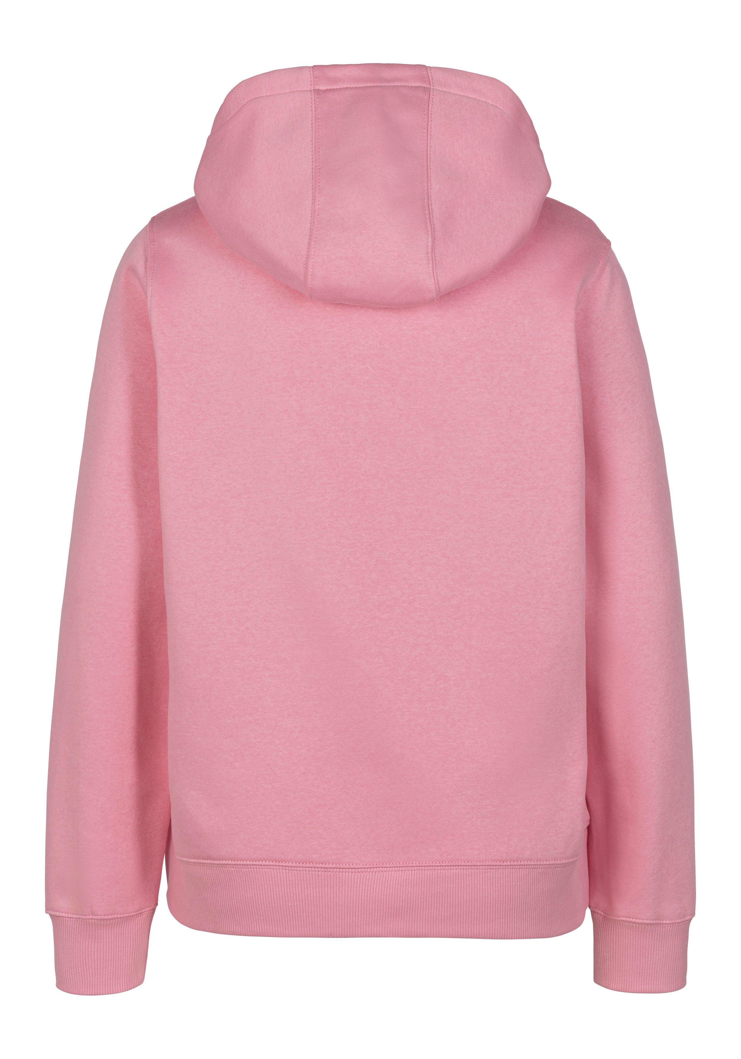 TOMMY JEANS Hoodie TJW REG S FLAG HOODIE