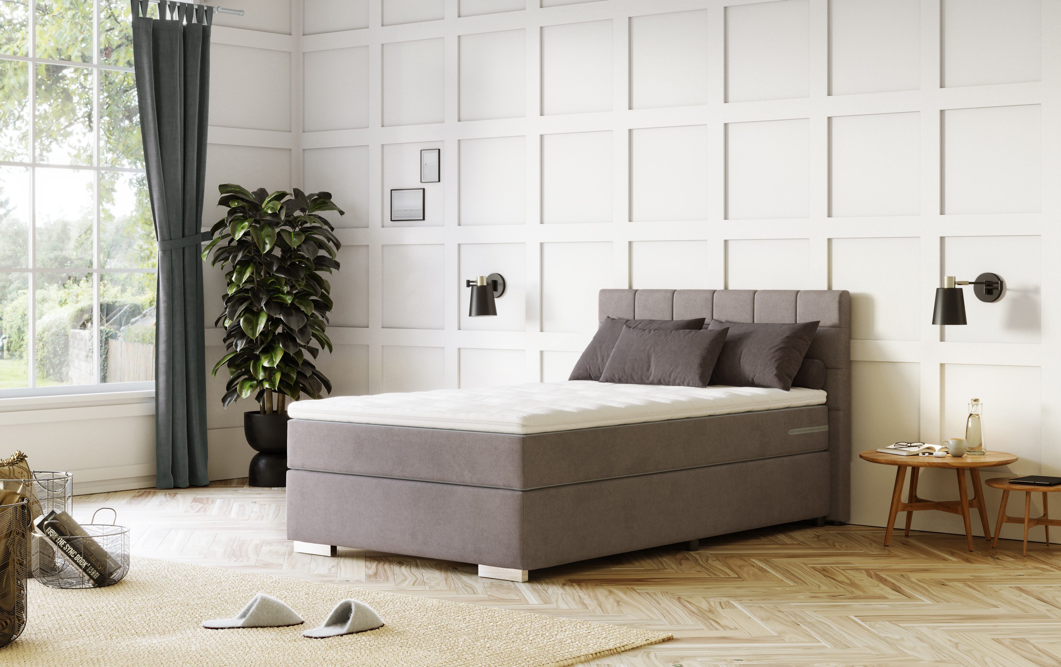COTTA Boxspring Simba