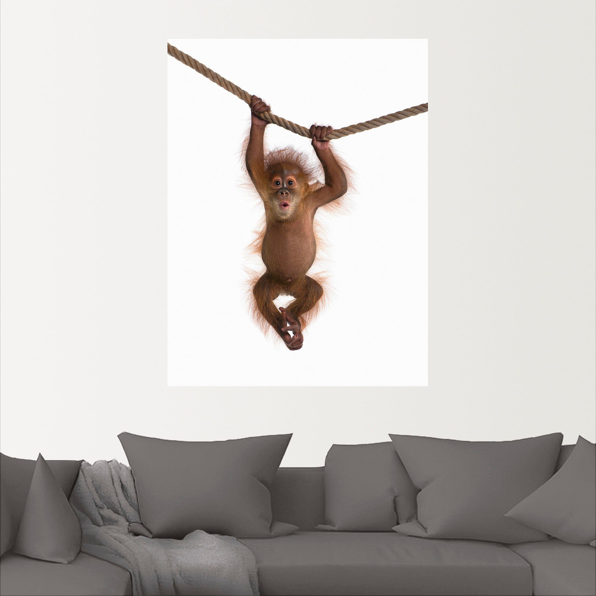 Artland Artprint Baby orang oetan hangt aan het touw II als artprint van aluminium, artprint voor buiten, artprint op linnen, poster, muursticker