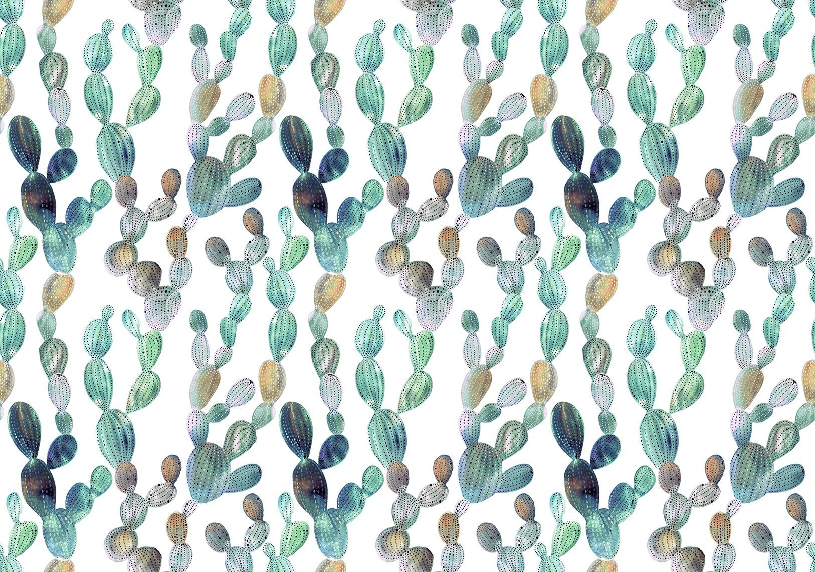 Consalnet Papierbehang Cactussen in verschillende maten