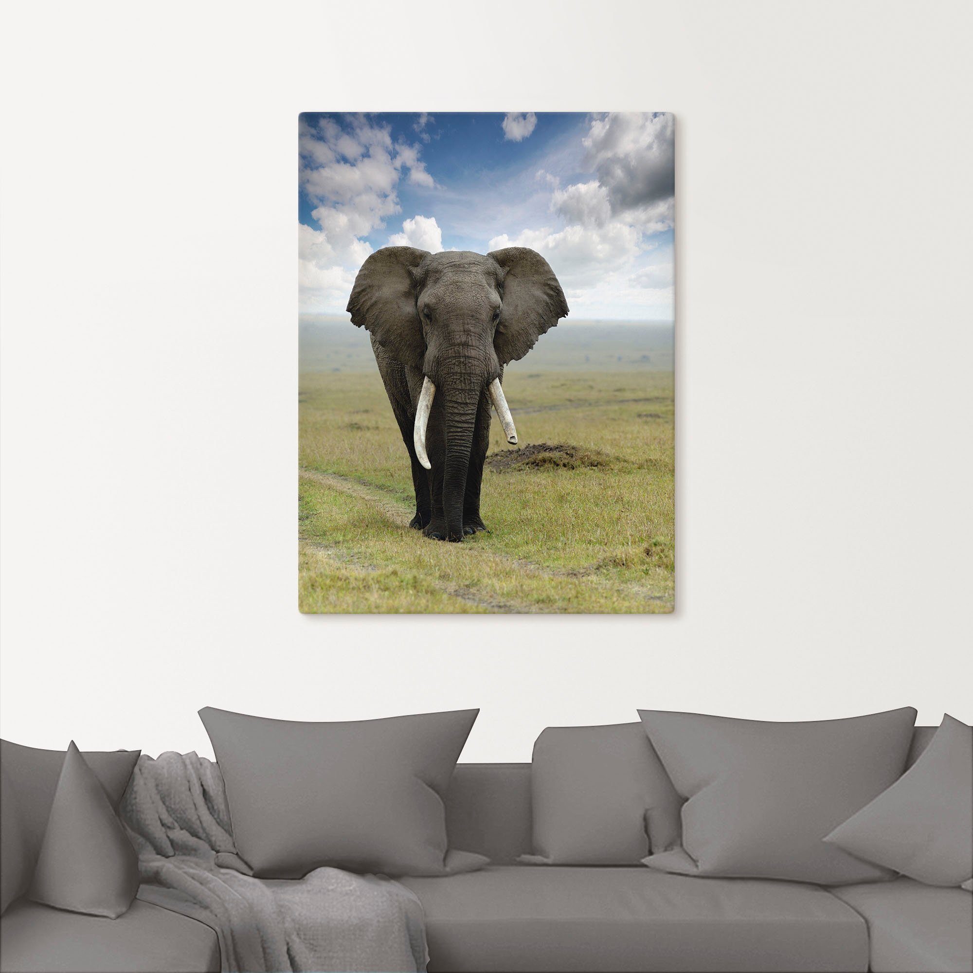 Artland Artprint Olifant als artprint van aluminium, artprint voor buiten, artprint op linnen, poster in verschillende maten. maten