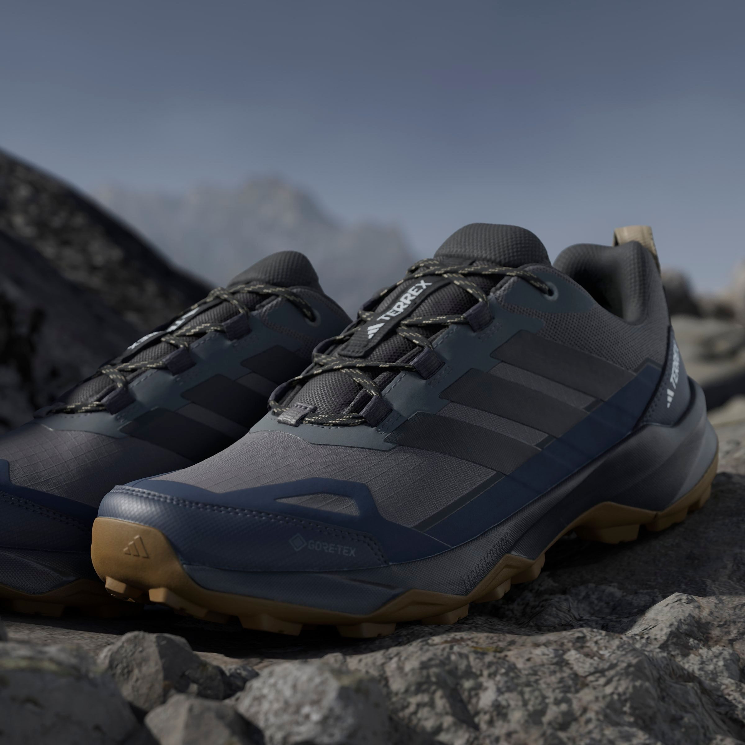 adidas TERREX Wandelschoenen TERREX SKYCHASER AX5 GORE-TEX