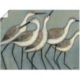 artland artprint kustvogels ii in vele afmetingen  productsoorten - artprint van aluminium - artprint voor buiten, artprint op linnen, poster, muursticker - wandfolie ook geschikt voor de badkamer (1 stuk) grijs
