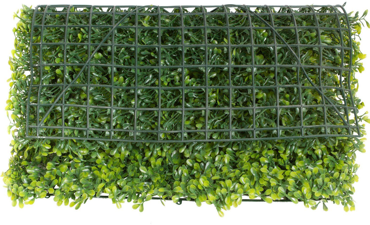 Botanic-Haus Kunst-potplanten Buxusmat groot (1 stuk)