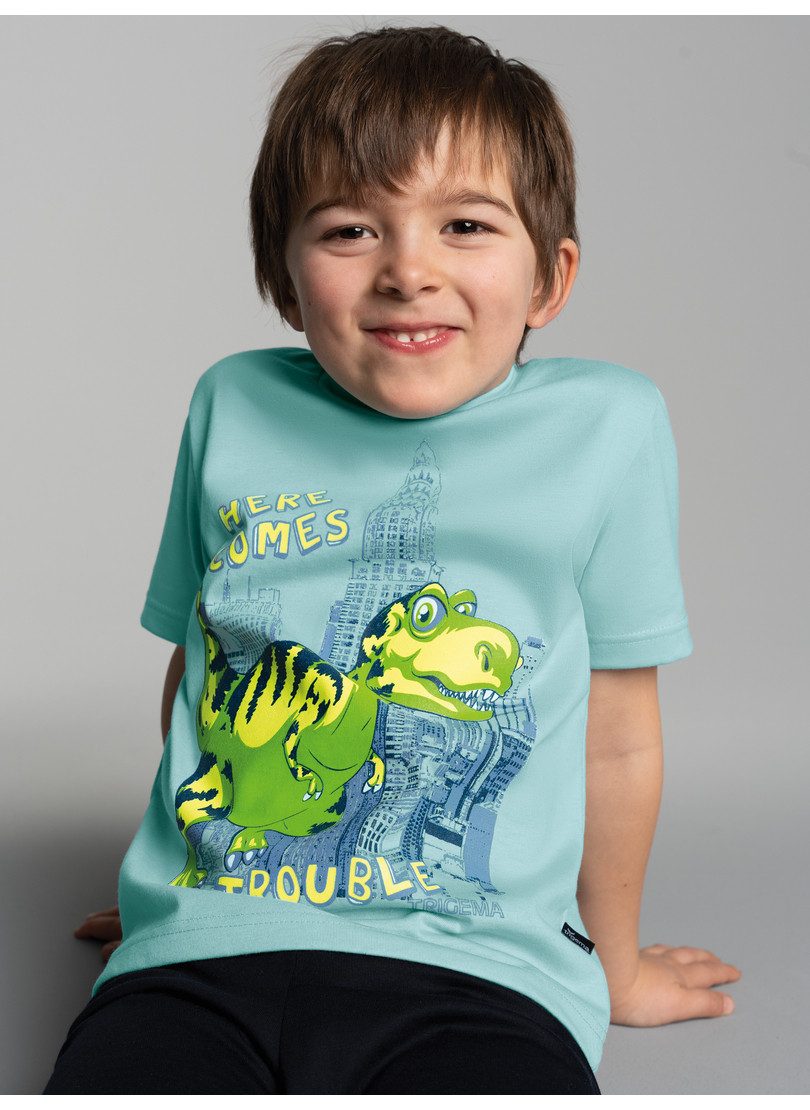 Trigema T-shirt TRIGEMA T-shirt met grote dino-printmotief (1-delig) jongens t-shirts maat 140 blauw