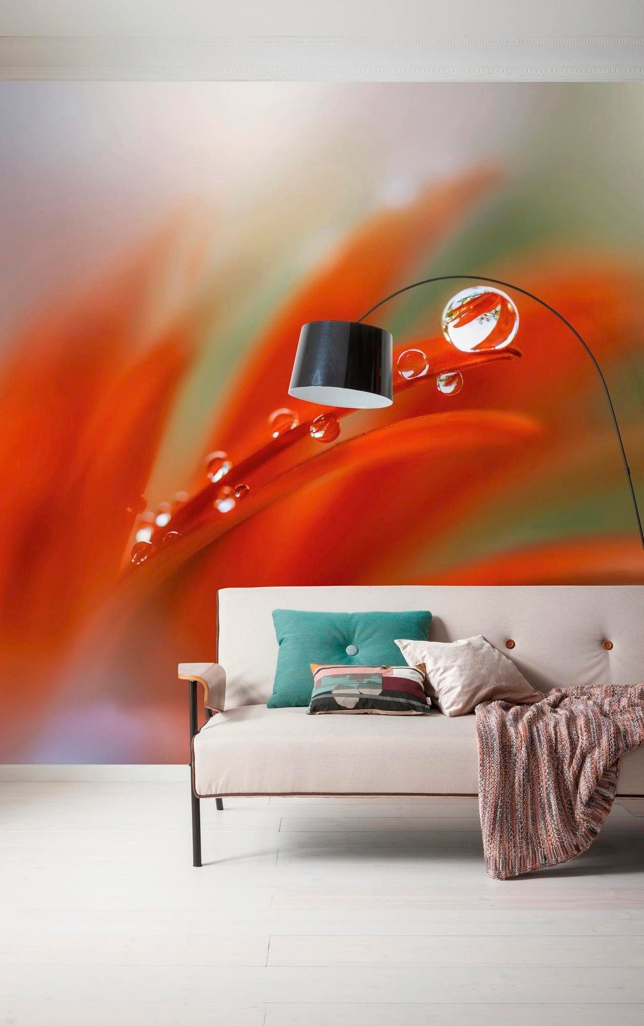 Komar Vliesbehang Digitale print vlies - Tautropfen - Afmeting 300 x 250 cm (1 stuk)