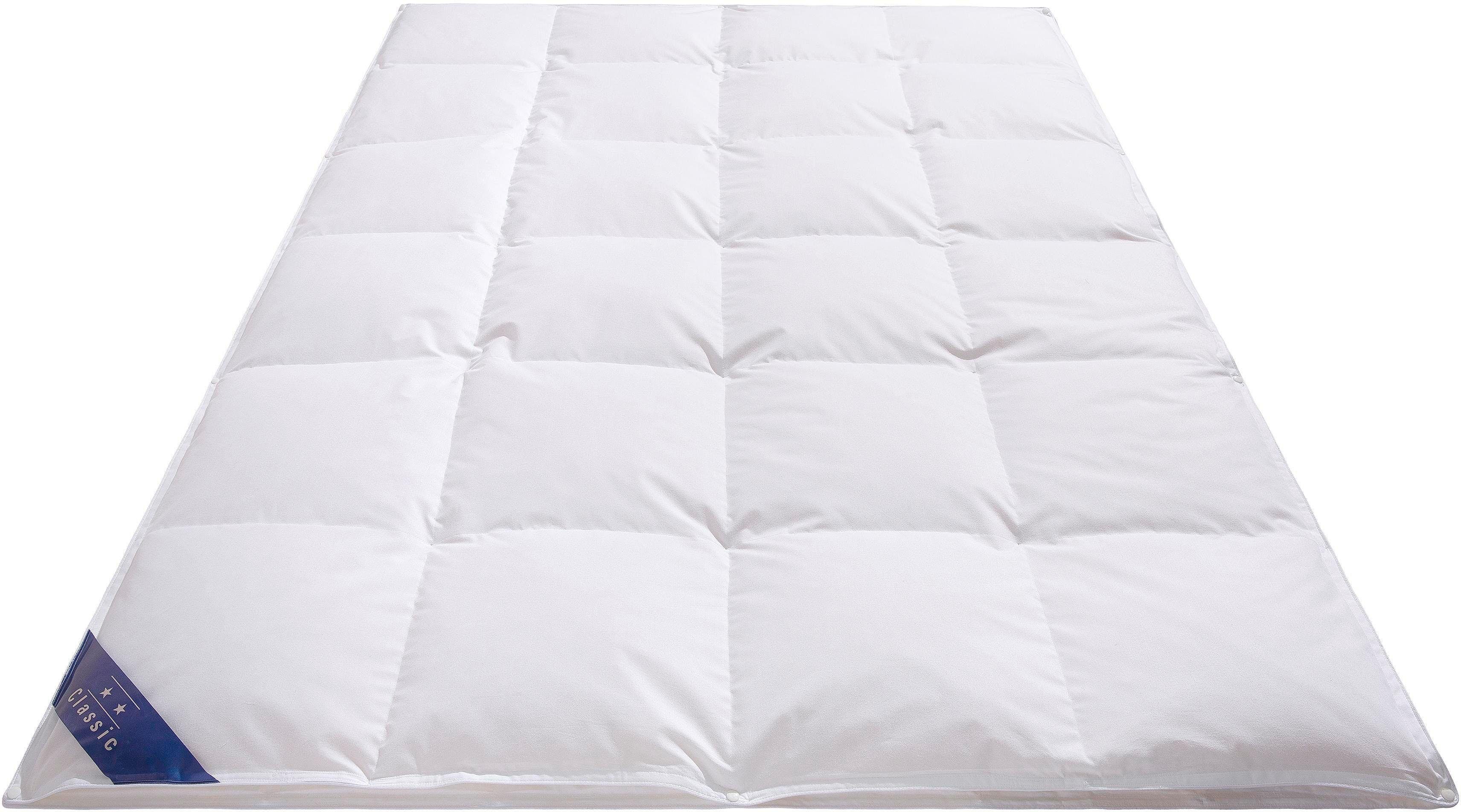 Hanse by RIBECO Veren dekbed + veren kussen Jonas Slaapcomfort voor alle seizoenen! (voordeelset)