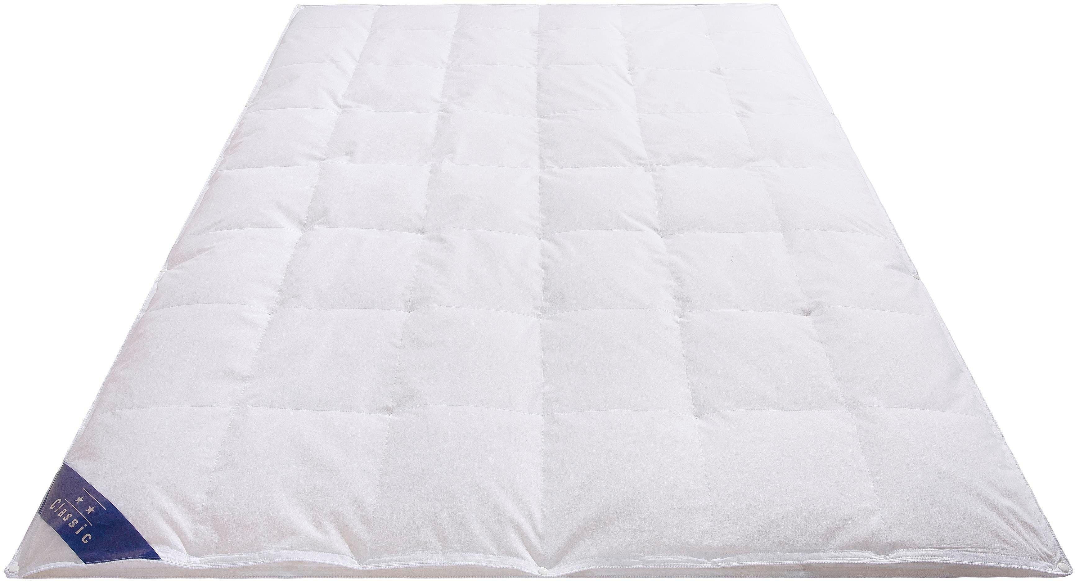 Hanse by RIBECO Veren dekbed + veren kussen Jonas Slaapcomfort voor alle seizoenen! (voordeelset)
